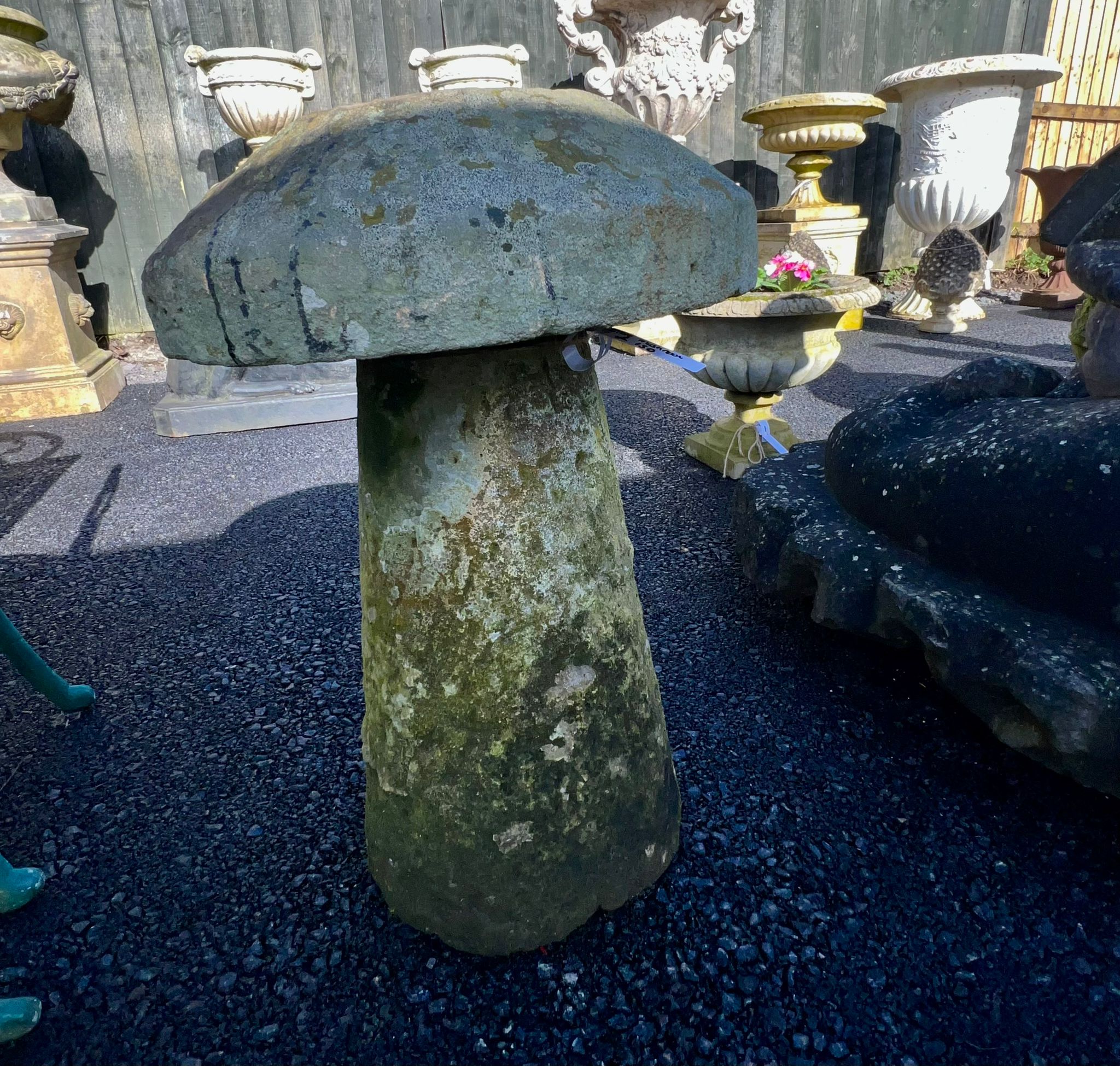 Straddle Stone Mushrooms From £150 (Multiple Available)