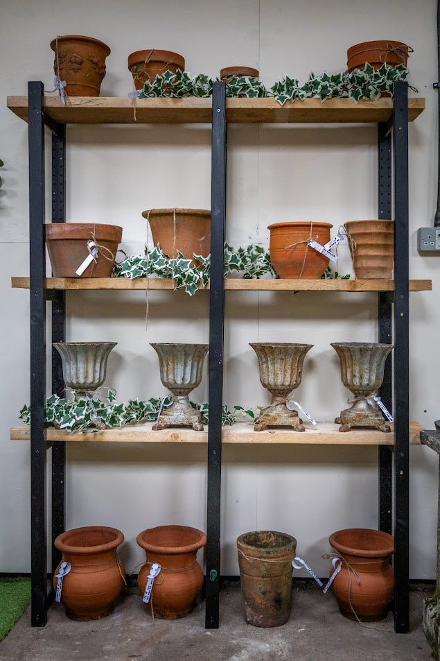 Variation of Cast Iron & Terracotta Planters