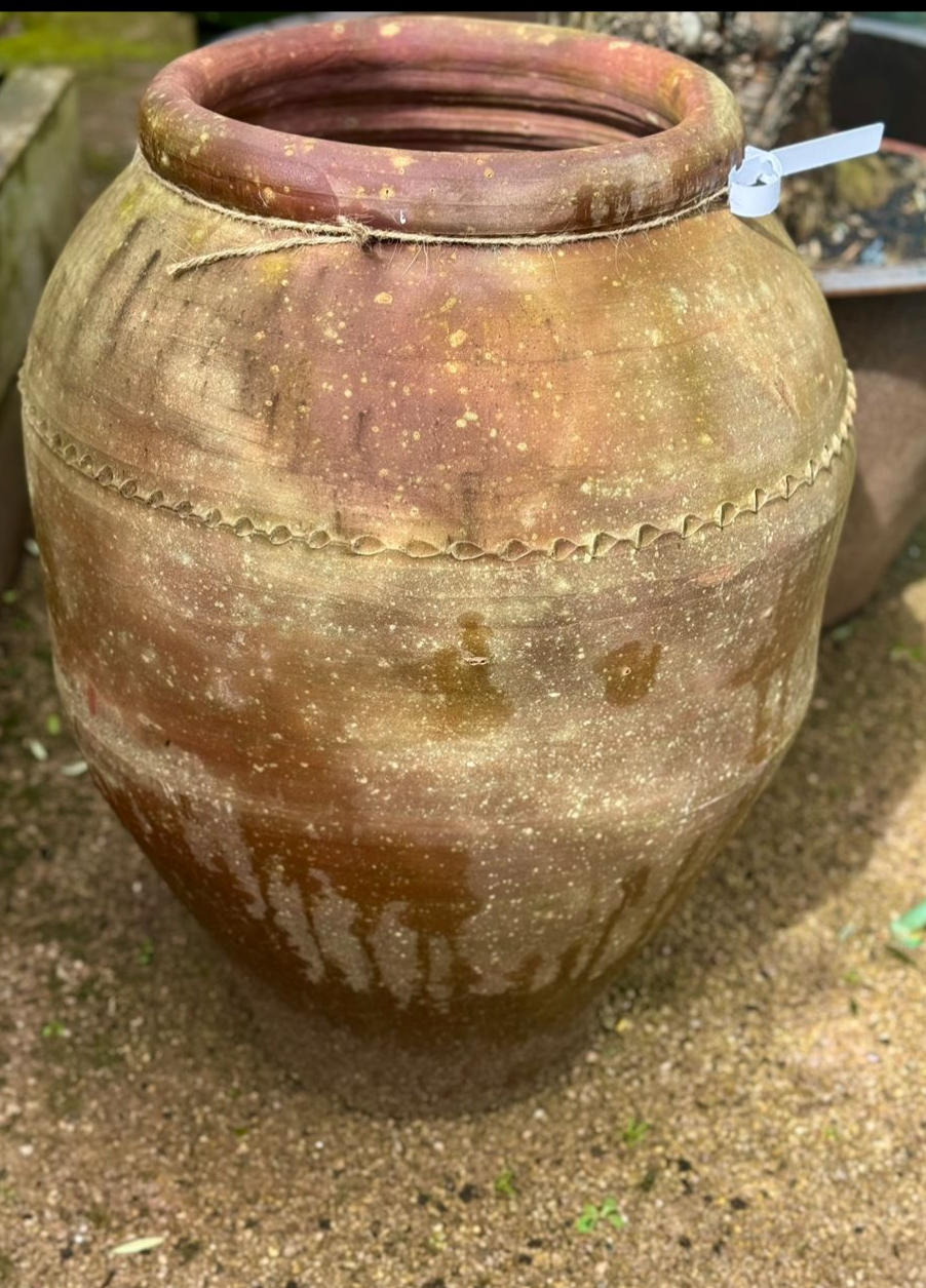 Terracotta Olive Urns - 3 ft Tall, £195 Each