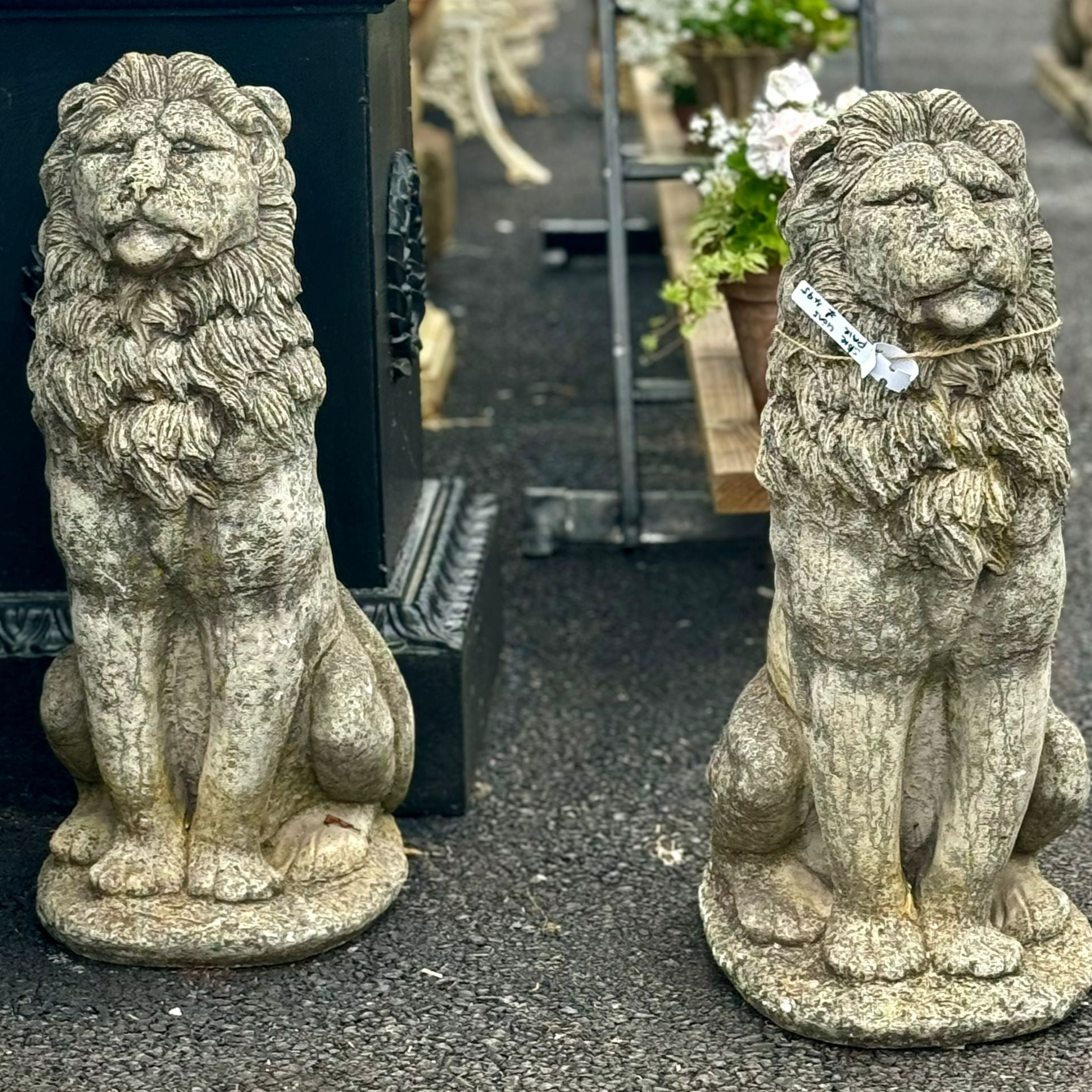 Reconstituted Stone Lions (Pair)