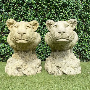 Pair of Stone Lionesses