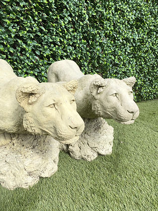 Pair of Stone Lionesses