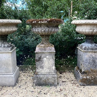 3 Stone Tazza Urns - £250 Each