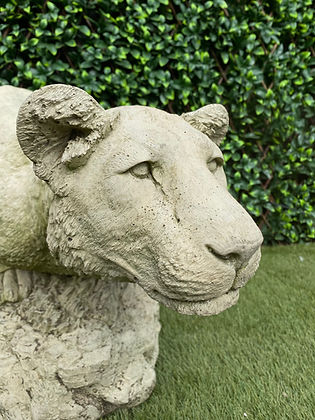 Pair of Stone Lionesses