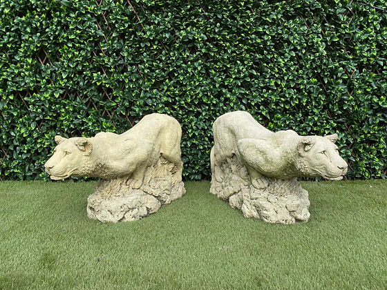 Pair of Stone Lionesses