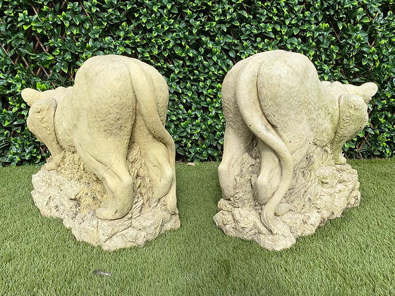 Pair of Stone Lionesses