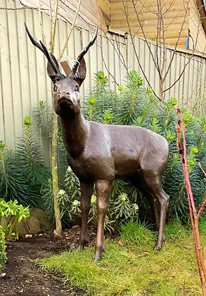 Cast Bronze Roe Deer