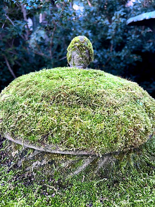 Antique Stone Jardiniere